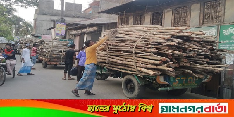 সুন্দরবনের কর্তন নিষিদ্ধ বিপুল পরিমান কাঠ আটক, জরিমানা সুন্দরবনের কর্তন নিষিদ্ধ বিপুল পরিমান কাঠ আটক, জরিমানা