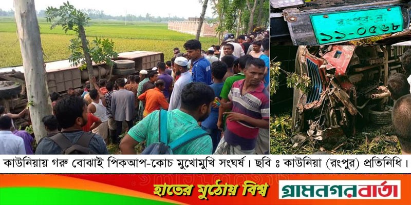 কাউনিয়ায় পিকআপ চালক নিহত, আহত ৪, ৮ গরুর মৃত্যু কাউনিয়ায় পিকআপ চালক নিহত, আহত ৪, ৮ গরুর মৃত্যু