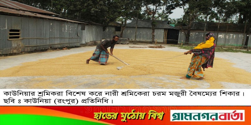 কাউনিয়ায় নারী শ্রমিকেরা বৈষম্যের শিকার কাউনিয়ায় নারী শ্রমিকেরা বৈষম্যের শিকার