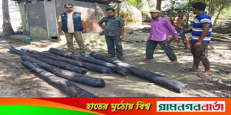 সুন্দরবনের কর্তন নিষিদ্ধ সুন্দরী কাঠ মোড়েলগঞ্জে উদ্ধার সুন্দরবনের কর্তন নিষিদ্ধ সুন্দরী কাঠ মোড়েলগঞ্জে উদ্ধার