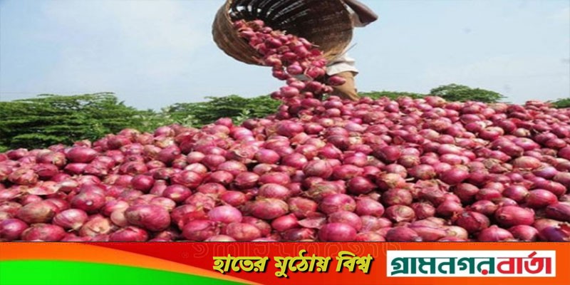 ভারত থেকে পেঁয়াজ আমদানি বন্ধ ভারত থেকে পেঁয়াজ আমদানি বন্ধ