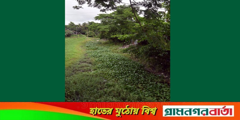 মুন্সীগঞ্জে তালতলা-শ্রীনগর খালের দুইপাড়ে দখলের মহোৎসবে মেতে উঠেছে মুন্সীগঞ্জে তালতলা-শ্রীনগর খালের দুইপাড়ে দখলের মহোৎসবে মেতে উঠেছে