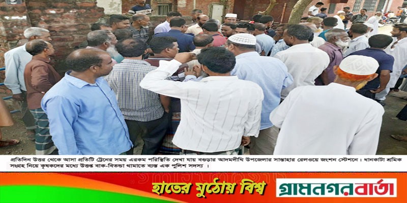 আদমদীঘিতে ধান কাটা শ্রমিক সংকটে দিশেহারা কৃষক আদমদীঘিতে ধান কাটা শ্রমিক সংকটে দিশেহারা কৃষক