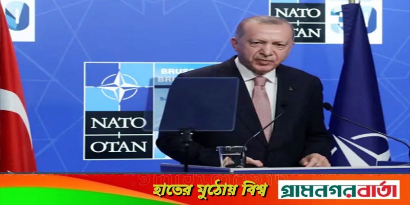 সুইডেন-ফিনল্যান্ডকে ন্যাটো জোটে চায় না তুরস্ক, জানালেন এরদোগান সুইডেন-ফিনল্যান্ডকে ন্যাটো জোটে চায় না তুরস্ক, জানালেন এরদোগান