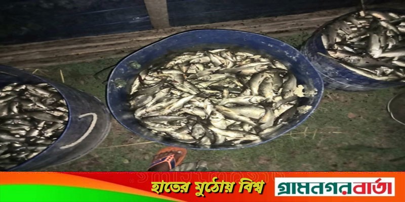 রামপালে মৎস্য ঘেরে বিষ প্রয়োগ রামপালে মৎস্য ঘেরে বিষ প্রয়োগ
