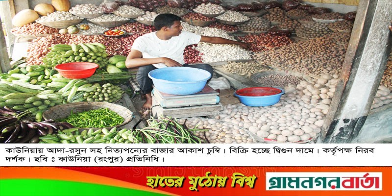 নিত্যপণ্যের যত দাম বেড়েছে এতো দাম কোন মন্ত্রীর আমলেই বাড়েনি নিত্যপণ্যের যত দাম বেড়েছে এতো দাম কোন মন্ত্রীর আমলেই বাড়েনি
