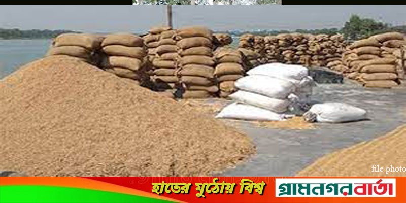 আদমদীঘিতে ধান ক্রয়ে ওজনে বিশাল কারচুপি আদমদীঘিতে ধান ক্রয়ে ওজনে বিশাল কারচুপি