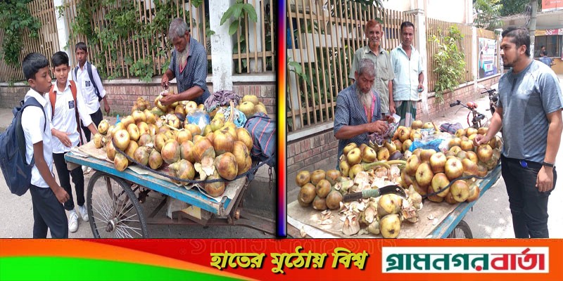 গ্রামে গঞ্জে তালের শাঁস বিক্রির হিড়িক, কদর তুঙ্গে গ্রামে গঞ্জে তালের শাঁস বিক্রির হিড়িক, কদর তুঙ্গে