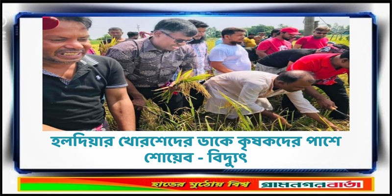 হলদিয়ার খোরশেদের ডাকে কৃষকদের পাশে শোয়েব - বিদ্যুৎ হলদিয়ার খোরশেদের ডাকে কৃষকদের পাশে শোয়েব - বিদ্যুৎ