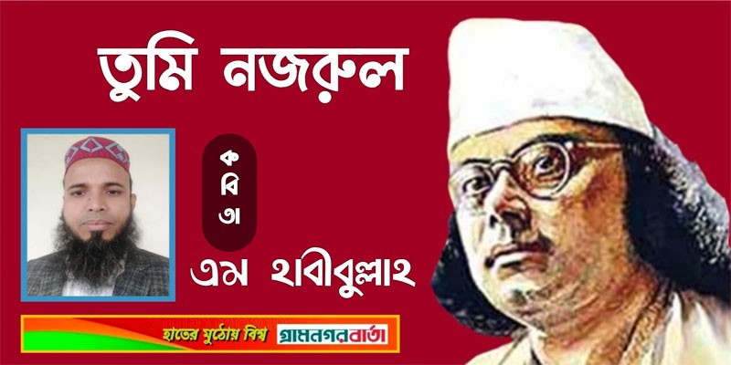 তুমি নজরুল তুমি নজরুল