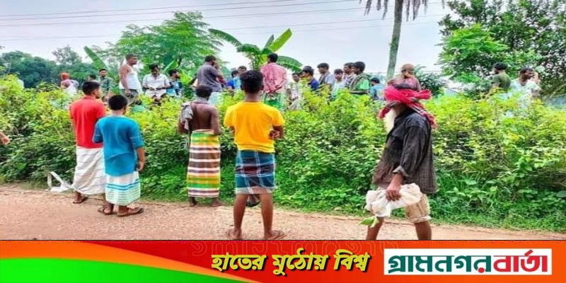 গাজীপুরে ট্রেনের ধাক্কায় নারী নিহত গাজীপুরে ট্রেনের ধাক্কায় নারী নিহত
