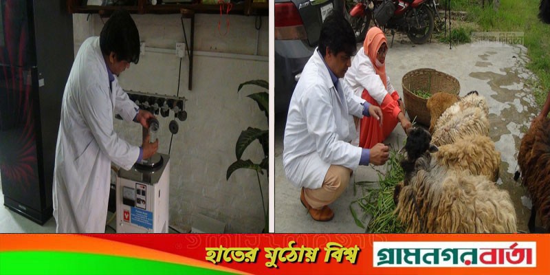 ভেড়ার মাংসে অ্যান্টি অক্সিডেন্ট পেয়েছেন বাকৃবি'র এক গবেষক ভেড়ার মাংসে অ্যান্টি অক্সিডেন্ট পেয়েছেন বাকৃবি'র এক গবেষক