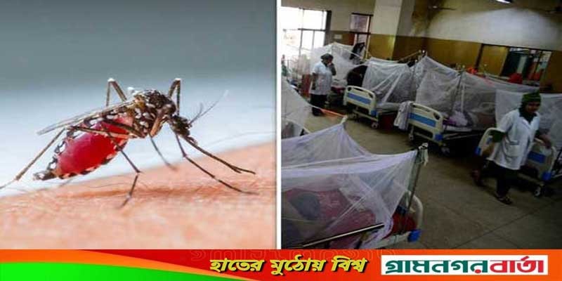 বৃষ্টির সঙ্গে বাড়লো ডেঙ্গুর থাবা বৃষ্টির সঙ্গে বাড়লো ডেঙ্গুর থাবা