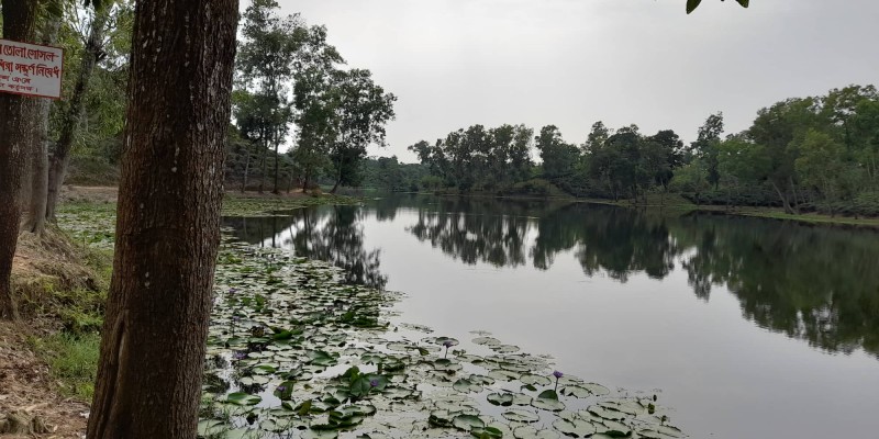 জল, পাতা আর পাখিদের গল্প জল, পাতা আর পাখিদের গল্প