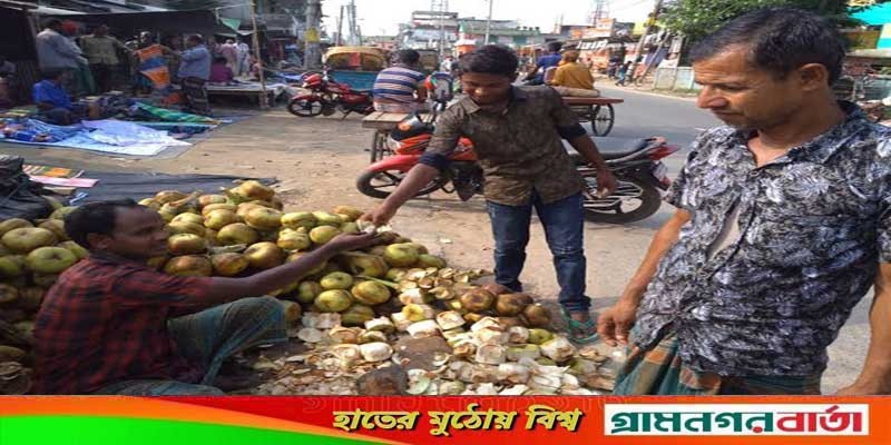 শ্রীনগরে চলছে তালের শাঁস বিক্রির ধুম শ্রীনগরে চলছে তালের শাঁস বিক্রির ধুম