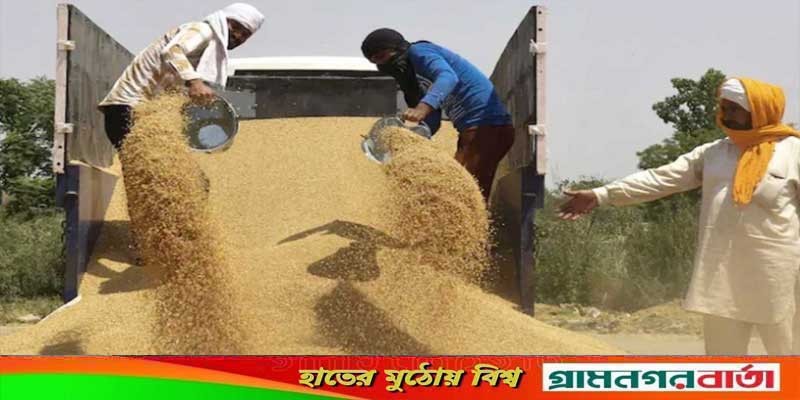 দ্রুত ১০ লাখ টন গম রপ্তানির অনুমতি দিতে ভারতকে অনুরোধ বাংলাদেশের দ্রুত ১০ লাখ টন গম রপ্তানির অনুমতি দিতে ভারতকে অনুরোধ বাংলাদেশের