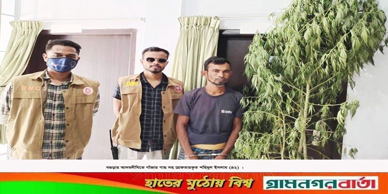 আদমদীঘিতে গাঁজার গাছসহ মাদক ব্যবসায়ী গ্রেপ্তার আদমদীঘিতে গাঁজার গাছসহ মাদক ব্যবসায়ী গ্রেপ্তার