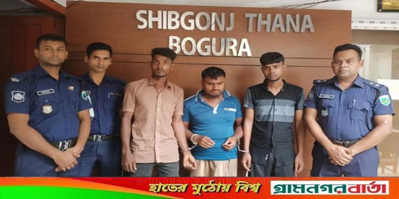শিবগঞ্জে চোরাই গরুসহ তিন চোর আটক শিবগঞ্জে চোরাই গরুসহ তিন চোর আটক