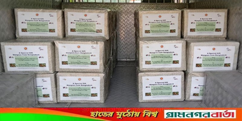 ভারতের প্রেসিডেন্ট-প্রধানমন্ত্রীর জন্য ‘আম্রপালি আম’ পাঠালেন শেখ হাসিনা ভারতের প্রেসিডেন্ট-প্রধানমন্ত্রীর জন্য ‘আম্রপালি আম’ পাঠালেন শেখ হাসিনা