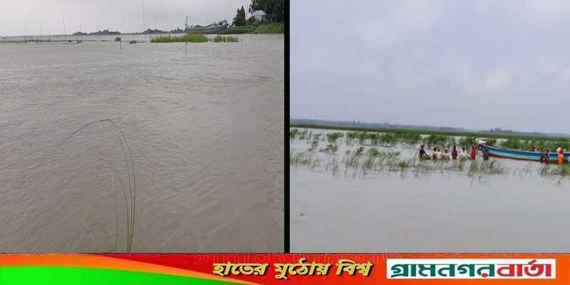 এবার বাড়ছে পদ্মার পানি, প্লাবিত হচ্ছে ফরিদপুরের নিম্নাঞ্চল এবার বাড়ছে পদ্মার পানি, প্লাবিত হচ্ছে ফরিদপুরের নিম্নাঞ্চল