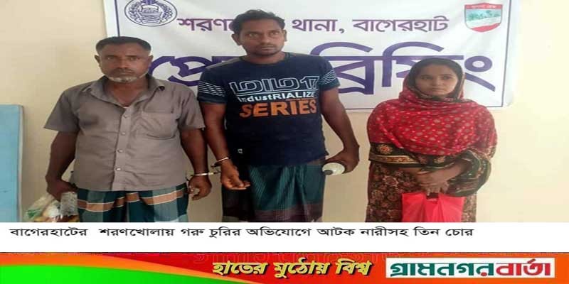 বাগেরহাটে নারীসহ ৩ গরুচোর আটক বাগেরহাটে নারীসহ ৩ গরুচোর আটক