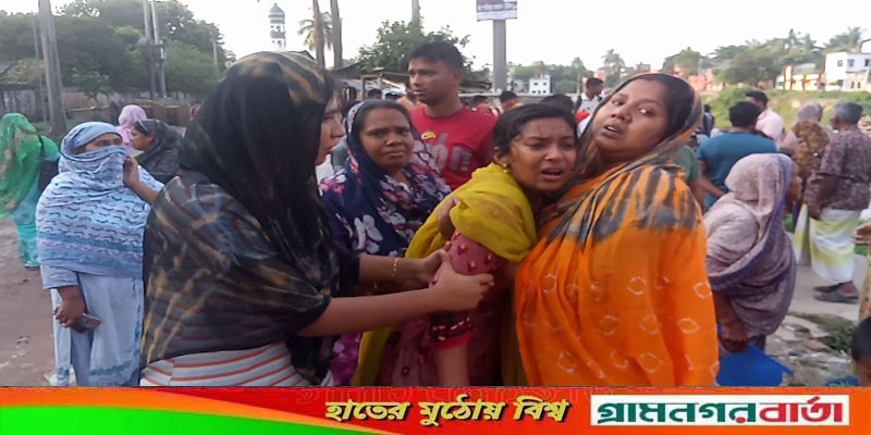 মেহেরপুরে পুকুরের পানিতে ডুবে নারীর মৃত্যু মেহেরপুরে পুকুরের পানিতে ডুবে নারীর মৃত্যু