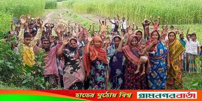 বোয়ালমারীতে বিএডিসির খাল খনন না হওয়ায় ফসল ডুবে যাওয়ার আশঙ্কা বোয়ালমারীতে বিএডিসির খাল খনন না হওয়ায় ফসল ডুবে যাওয়ার আশঙ্কা