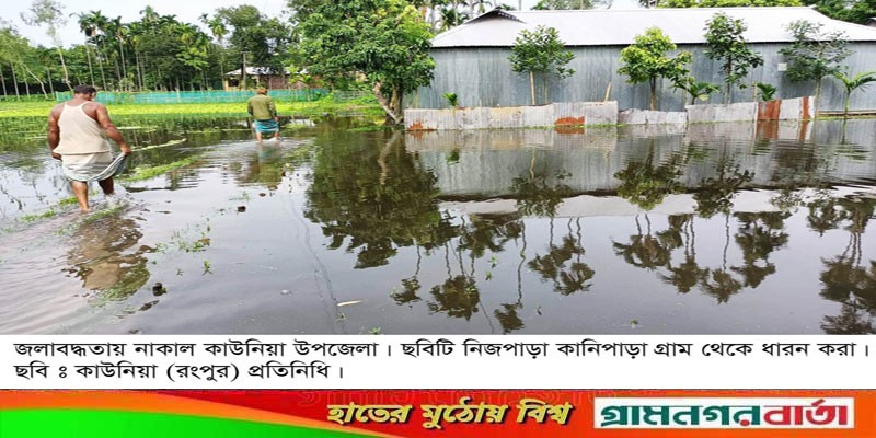 জলাবদ্ধতায় নাকাল কাউনিয়া, সমন্বয় নেই কৃষি ও মৎস্য বিভাগের জলাবদ্ধতায় নাকাল কাউনিয়া, সমন্বয় নেই কৃষি ও মৎস্য বিভাগের