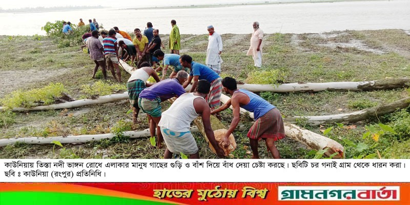 কাউনিয়ায় তিস্তা নদী গিলে খাচ্ছে বাড়ি-ঘর আর ফসলী জমি কাউনিয়ায় তিস্তা নদী গিলে খাচ্ছে বাড়ি-ঘর আর ফসলী জমি