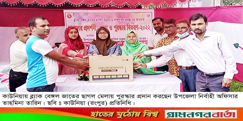 কাউনিয়ায় ব্ল্যাক বেঙ্গল জাতের ছাগল মেলা কাউনিয়ায় ব্ল্যাক বেঙ্গল জাতের ছাগল মেলা
