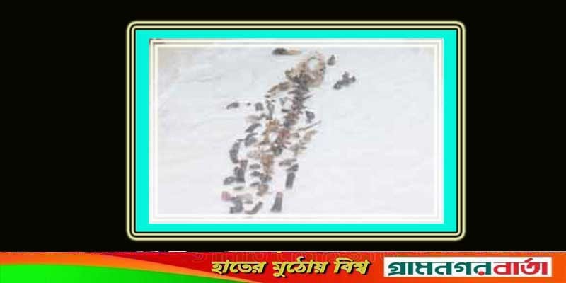 বাগেরহাটে প্রাণীর প্রাচীন কঙ্কাল উদ্ধার বাগেরহাটে প্রাণীর প্রাচীন কঙ্কাল উদ্ধার