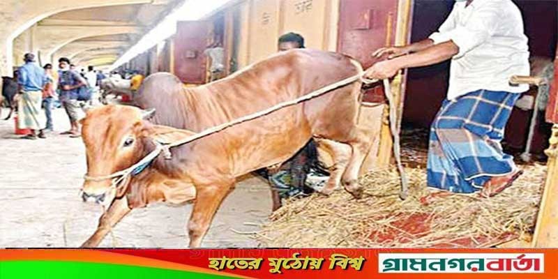 ৬ জুলাই হতে চালু হচ্ছে ক্যাটল স্পেশাল ট্রেন সার্ভিস ৬ জুলাই হতে চালু হচ্ছে ক্যাটল স্পেশাল ট্রেন সার্ভিস
