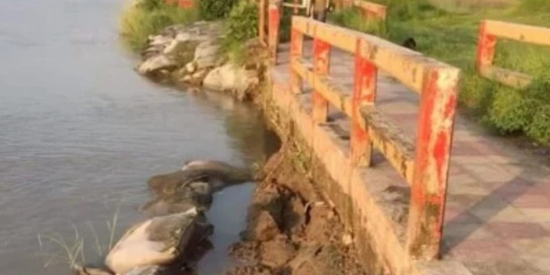 মাদারীপুর শহর রক্ষা বাঁধের মহিষেরচর এলাকায় ফাটলঃ আতঙ্কে এলাকাসী মাদারীপুর শহর রক্ষা বাঁধের মহিষেরচর এলাকায় ফাটলঃ আতঙ্কে এলাকাসী