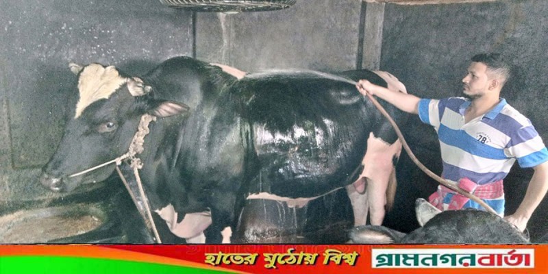 বগুড়ায় বাংলালিংক, ভারতী ও হিরো আলম হাট কাঁপিয়ে তুলছে বগুড়ায় বাংলালিংক, ভারতী ও হিরো আলম হাট কাঁপিয়ে তুলছে