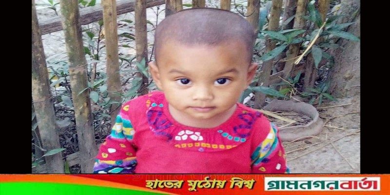 নন্দীগ্রামে বিষধর সাপের কামড়ে শিশুর মৃত্যু নন্দীগ্রামে বিষধর সাপের কামড়ে শিশুর মৃত্যু