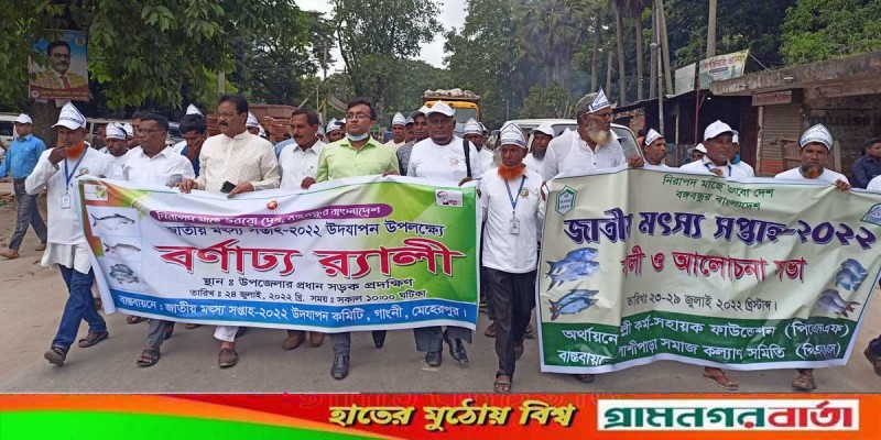 গাংনীতে মাছের পোনা অবমুক্ত করণ গাংনীতে মাছের পোনা অবমুক্ত করণ