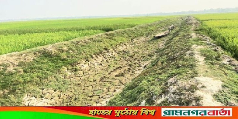 তীব্র খরায় বিপাকে বাগেরহাটের আমন ও মৎস্য চাষীরা তীব্র খরায় বিপাকে বাগেরহাটের আমন ও মৎস্য চাষীরা