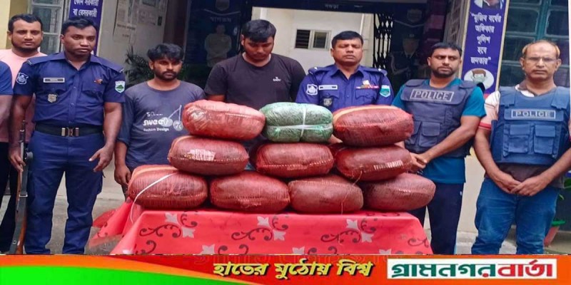 নন্দীগ্রামে পাথর ভর্তি ট্রাকে ৫০ কেজি গাঁজা নন্দীগ্রামে পাথর ভর্তি ট্রাকে ৫০ কেজি গাঁজা