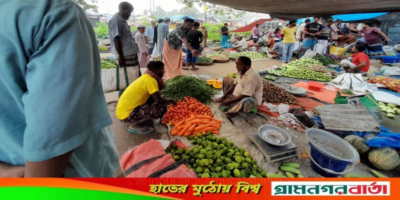 নন্দীগ্রামে কাঁচা মরিচের কেজি ২৪০ টাকা নন্দীগ্রামে কাঁচা মরিচের কেজি ২৪০ টাকা