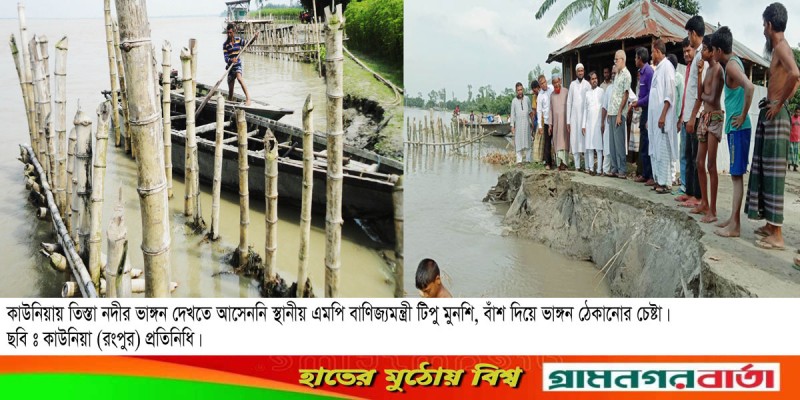কাউনিয়ায় তিস্তার ভয়াবহ ভাঙ্গন বাঁশ দিয়ে ঠেকানোর চেষ্টা কাউনিয়ায় তিস্তার ভয়াবহ ভাঙ্গন বাঁশ দিয়ে ঠেকানোর চেষ্টা