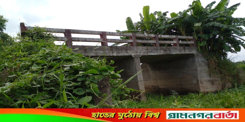 শ্রীনগরে সেতু আছে রাস্তা নেই! শ্রীনগরে সেতু আছে রাস্তা নেই!