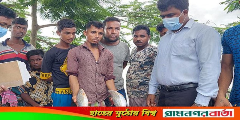 বাগেরহাটে মাছে কৃত্তিম রং, দুই ব্যবসায়ীকে জরিমানা বাগেরহাটে মাছে কৃত্তিম রং, দুই ব্যবসায়ীকে জরিমানা
