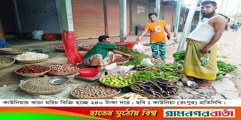 কাউনিয়ায় কাঁচা মরিচের দাম বেড়েছে কেজিতে ১২০ টাকা কাউনিয়ায় কাঁচা মরিচের দাম বেড়েছে কেজিতে ১২০ টাকা