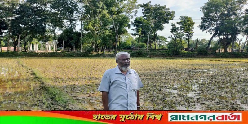 শ্রীপুরে শিক্ষকের জমি দখল করে নেয়ার অভিযোগ শ্রীপুরে শিক্ষকের জমি দখল করে নেয়ার অভিযোগ