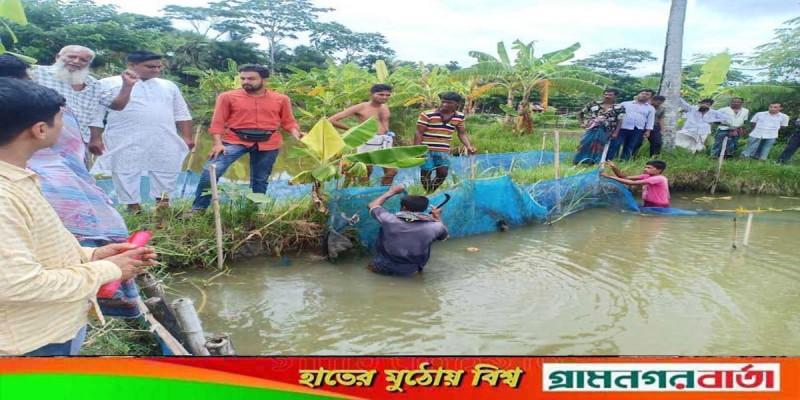 ৩০ বছর পরে দখলমুক্ত হল জয়গাছি খাল, আনন্দে মাছ ধরছেন স্থানীয়রা ৩০ বছর পরে দখলমুক্ত হল জয়গাছি খাল, আনন্দে মাছ ধরছেন স্থানীয়রা