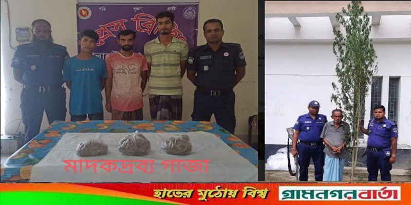 মোল্লাহাটে গাজা ও গাছসহ ৪ মাদক কারবারি আটক মোল্লাহাটে গাজা ও গাছসহ ৪ মাদক কারবারি আটক