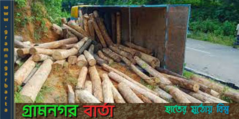 খাগড়াছড়িতে কাঠবোঝাই ট্রাক উল্টে ২ শ্রমিক নিহত খাগড়াছড়িতে কাঠবোঝাই ট্রাক উল্টে ২ শ্রমিক নিহত
