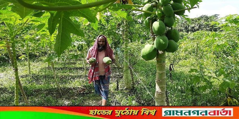 সমন্বিত সবজি চাষে প্রবাস ফেরত যুবকের সফলতা সমন্বিত সবজি চাষে প্রবাস ফেরত যুবকের সফলতা