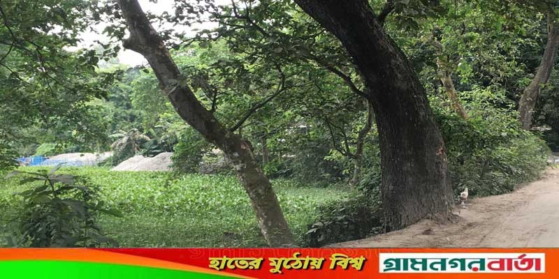 শ্রীনগরে বানিয়াবাড়ি জলাশয় ভরাটের অভিযোগ শ্রীনগরে বানিয়াবাড়ি জলাশয় ভরাটের অভিযোগ
