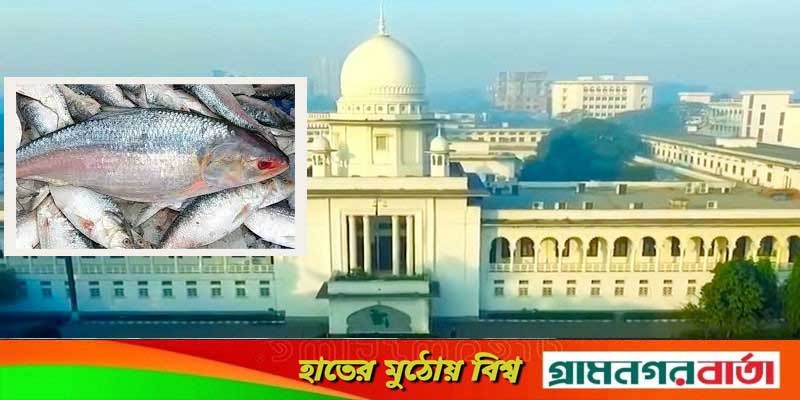 ভারতে ইলিশ রপ্তানি বন্ধে আইনি নোটিশ ভারতে ইলিশ রপ্তানি বন্ধে আইনি নোটিশ